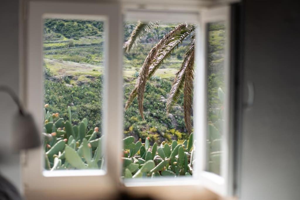 Vivienda Vacacional Rosa Blanca (Adults Only) Arure エクステリア 写真