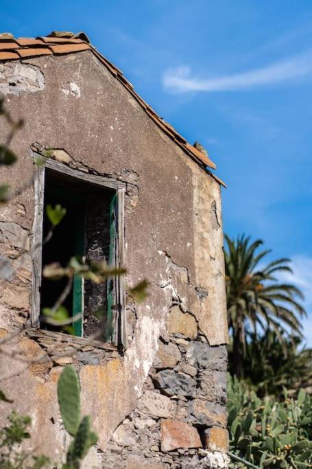 Vivienda Vacacional Rosa Blanca (Adults Only) Arure エクステリア 写真